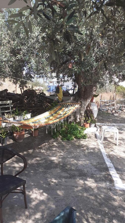 Olive Trees Villa Poros Town Luaran gambar
